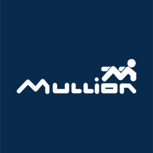 Mullion